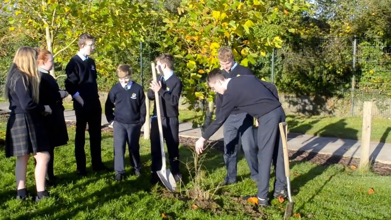 Presentation Primary does #ClimateActionWeek