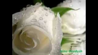 Букет из белых роз - Виктор Королёв и Ирина Круг