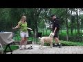 Dog Training: 3 Day Private Seminar! 4 Year Old Wheaten Terrier, Bo! Dog Training: 3 Day Private Seminar! 4 Year Old Wheaten Terrier, Bo!
