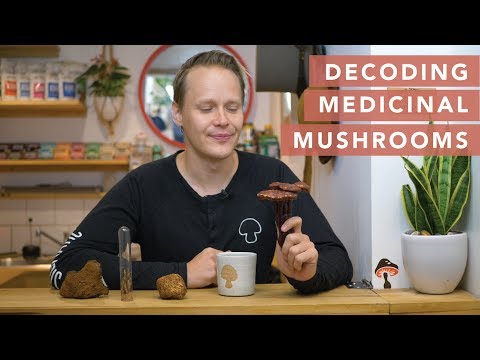 A medicinal mushroom guide from Four Sigmatic's founder