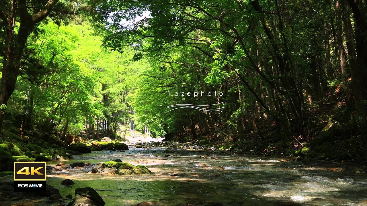 4K 自然環境音 / 2026 湧き水が流れる川の音 鳥のさえずり birds chirping