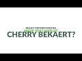 Life at cherry bekaert what opportunities have you had at cherry bekaert