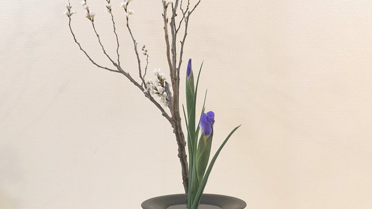 池坊生花カリキュラムでいけばな体験桜編