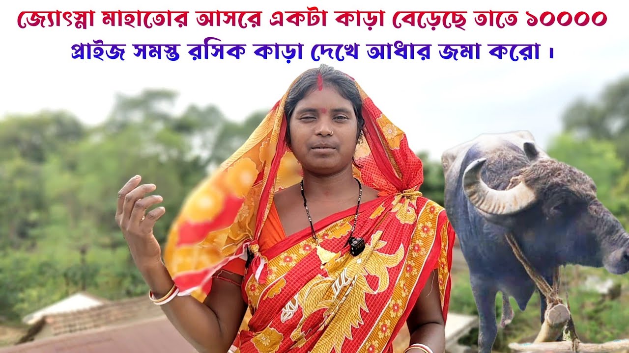 জ্যোৎস্না মাহাতোর আসরে একটা কাড়া বেড়েছে তাতে 10000 প্রাইজ সমস্ত রসিক কাড়া দেখে আধার জমা করো ।