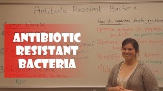 Antibiotic Resistant Bacteria