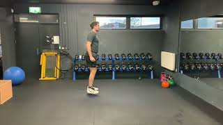 Altis Rudiment Series