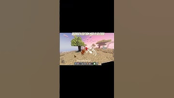 bedrock Vs java mod #shorts #minecraft