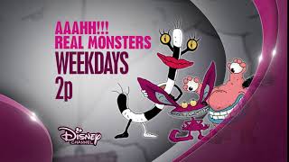 Disney Channel - 2014 Endboard - Aaahh Real Monsters Fanmade
