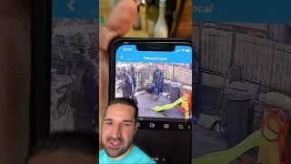 Reacția Câinilor Când Intră Mascații În Curte