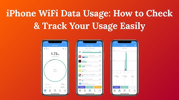 iPhone WiFi Data Usage: How to Check & Track Your Usage Easily