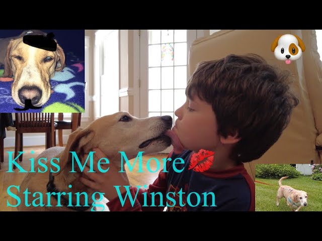 Kiss Me More(Clean)Doja Cat- Starring Winston!