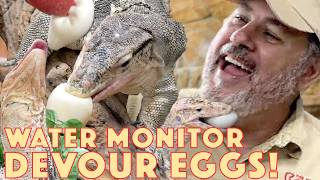 Fabio Devours Python Eggs that Never Hatched😱🐍