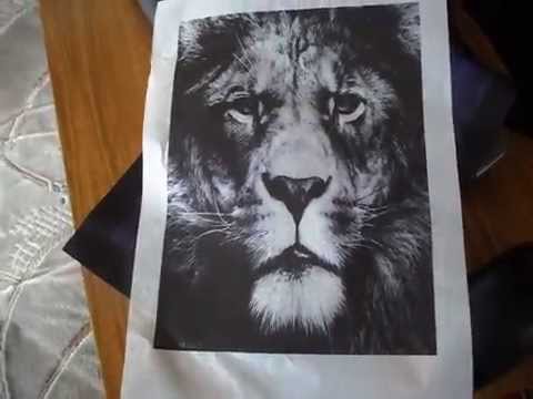 Stencil Test- Lion