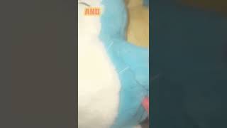 Is this plush real or fake?? #pokemon #plush