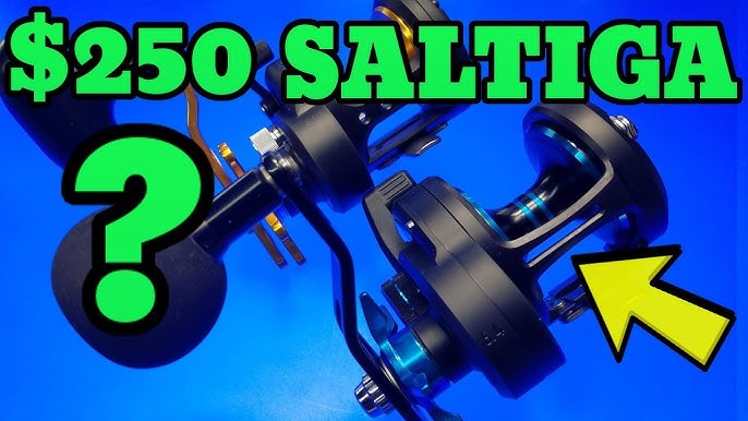 Daiwa Saltist LW Levelwind Conventional Reels are here! Four sizes