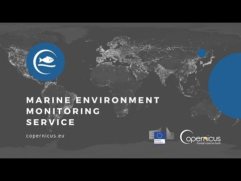 Copernicus Marine Environment Monitoring Service: Products Visualisation with Open Source GIS Tool