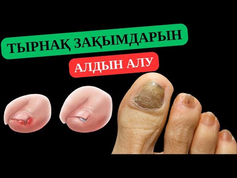 Қоқыс жәшігінің артындағы порнография Кончают в жас письки видео