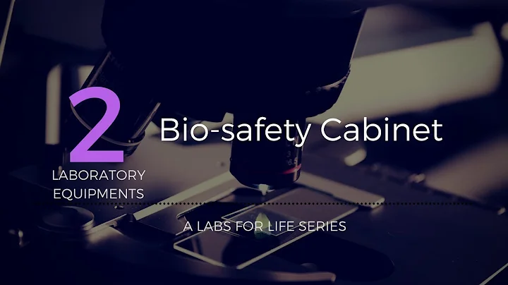 Biosafety Cabinet - DayDayNews