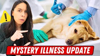 Dogs are getting VERY sick ⚠ How to keep them SAFE