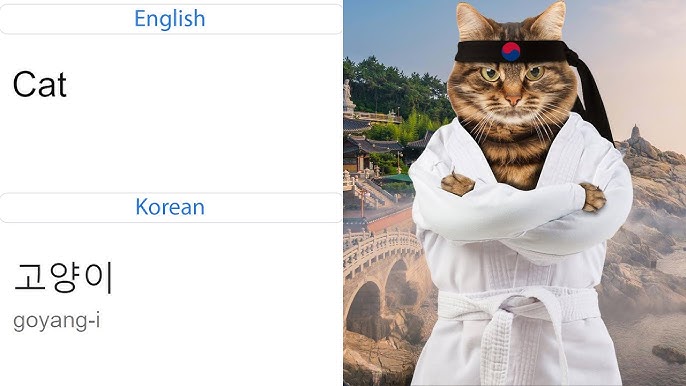 Pop Cat in different languages meme 