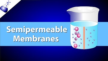 The Semipermeable Membrane
