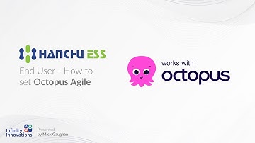 Hanchu ESS - End User - How to set Octopus Agile