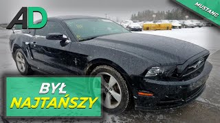 NAJTAŃSZY Mustang z USA - ILE KOSZTOWAŁ? Wydajemy naprawione auta klientom