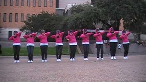 Sigma Lambda Gamma: UT Spring 2009 Probate [1 of 8]