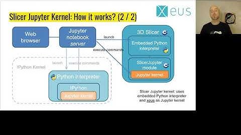 Jean Christophe - SlicerJupyter: a 3D Slicer kernel for interactive publications | JupyterCon 2020