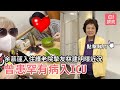 86歲余慕蓮入住護老院摯友林建明曝近況　曾患罕有病入ICU｜01娛樂｜余慕蓮｜林建明｜護老院｜香港藝人