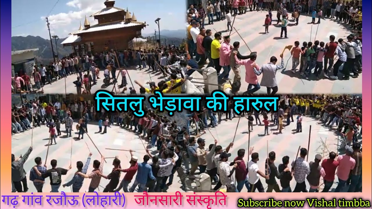 #सीतलू भेड़ावा की हारुल | लोहारी गांव के जागरूक युवा | जौनसार बावर की पौराणिक हारुल | Vishal timbba