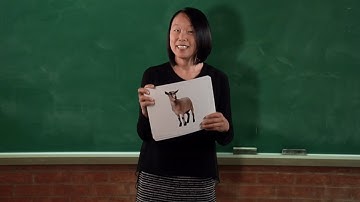 Playing Picture Card Games with Very Young Learners