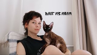 ВЛОГ июль // лето в Москве // Никола Ленивец