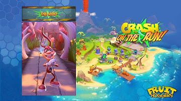 CRASH: ON THE RUN - THE NOID