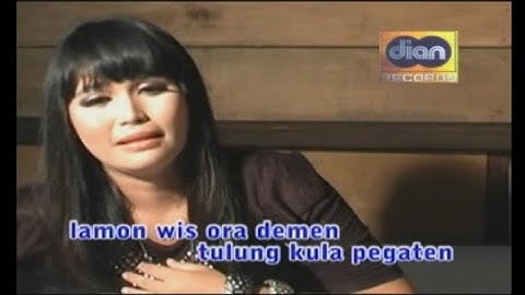 Dian Anic - Wader Pitak [ Video Karaoke HD ]