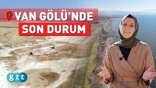 VAN GÖLÜ'NDE NELER OLUYOR? Resimi