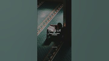 ناصر القطامي سورة الكهف