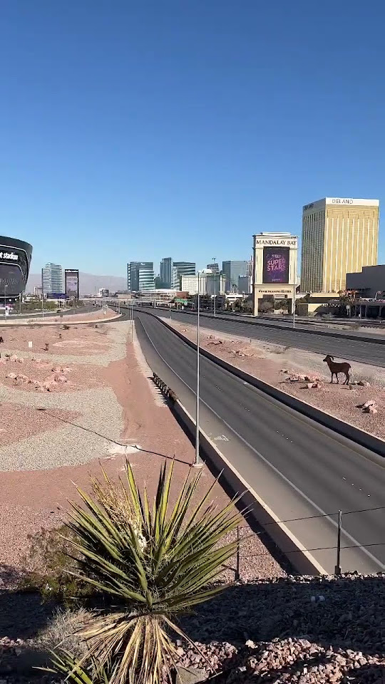 Dropicana Three day I 15 Closure Las Vegas Tropicana Road dropicana-three-day-i-15-closure-las-vegas-tropicana-road