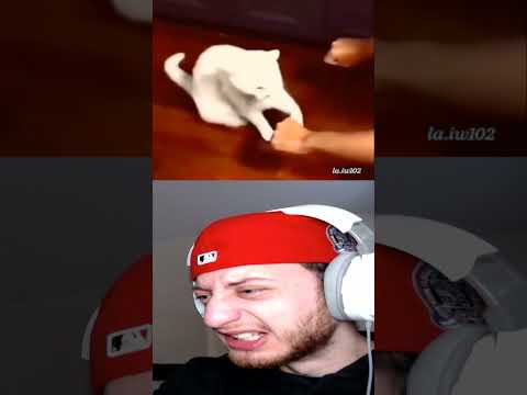 It's In The