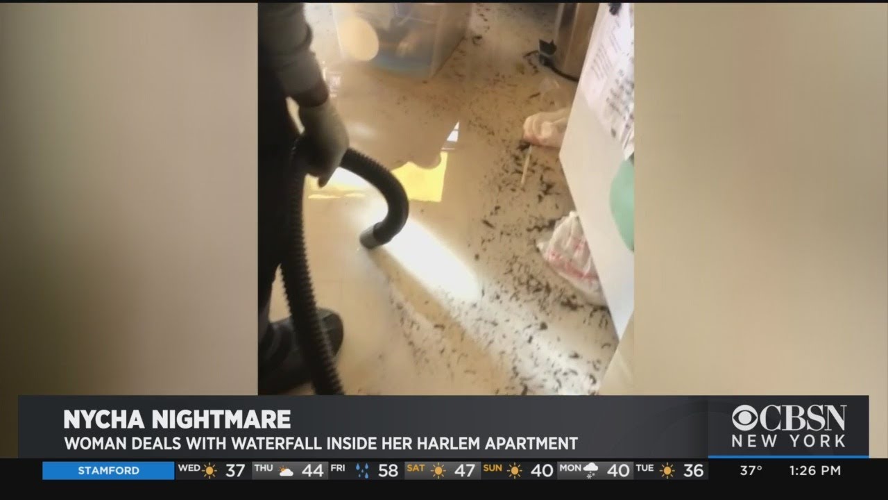 Woman Deals With Waterfall Inside Her Harlem NYCHA Apartment