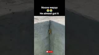 ​bro reached 99% progress and disconnected 😭 #shorts #frog #parkour