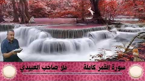 سورةةالقمر كاملة ٠هديتى الى ارواح امواتكم اخوانى واخواتى الاطهار٠ملا صاحب العبيدى