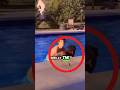 He makes his opponent cry! (never check the sound!)