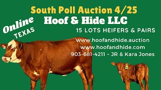 SOUTH POLL CATTLE AUCTION  Online 4/25/2024  Cattle in Texas