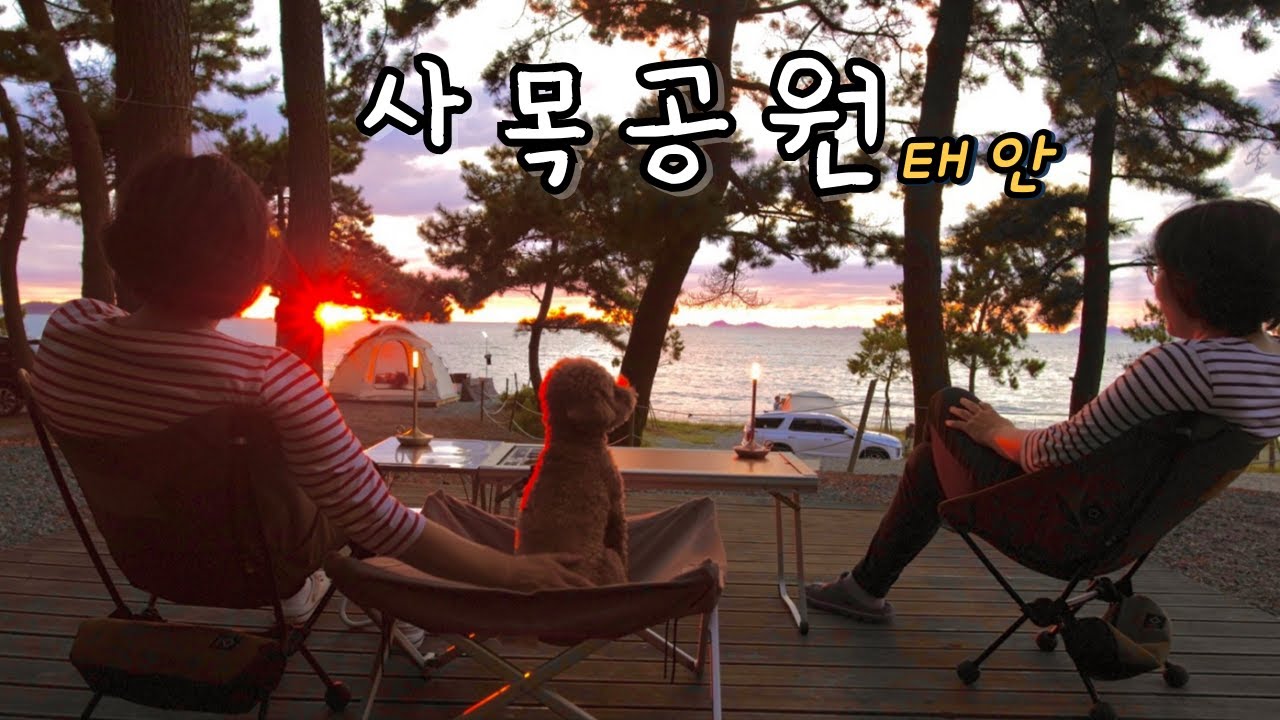 여기를 왜 이제 왔을까❓푸른 바다와 예쁜 일몰 그리고 숲속캠핑🐶애견동반캠핑ㅣ태안 사목공원