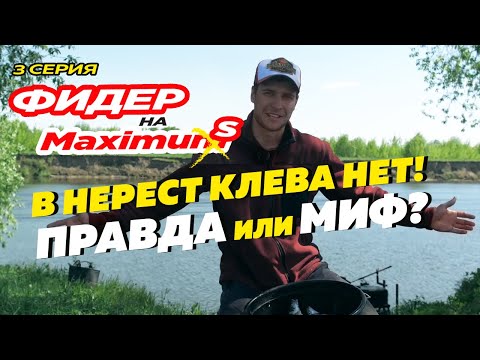 Фидер на МАКСИМУМ! Серия 3.  В нерест рыба не клюет! Правда или миф?