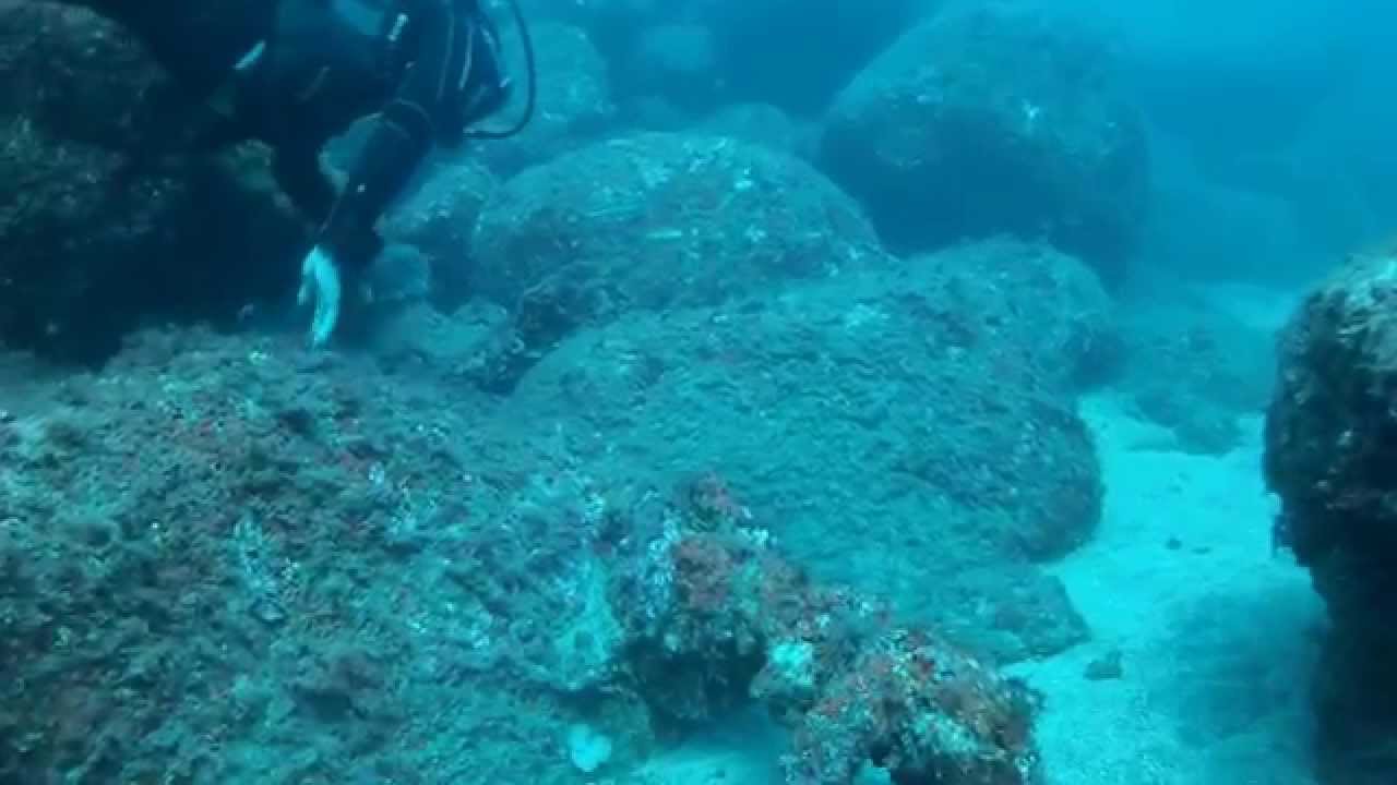 Area Marina Protetta Area Marina Protetta