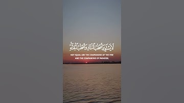 القرآن الكريم راحة نفسية ♥️🌿