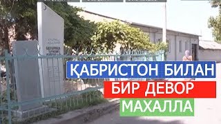 ҚАБРИСТОН БИЛАН БИР ДЕВОР ЯШАЁТГАН ТОШКЕНТДАГИ НОЧОР МАХАЛЛА