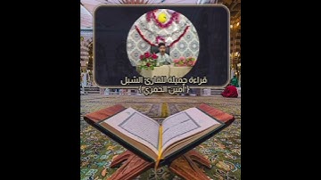 #قراءة #جميلة للقارئ #الشبل((أمين الحمري))